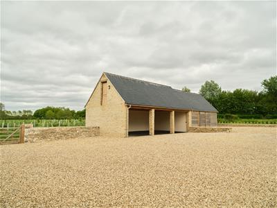 Picture 26